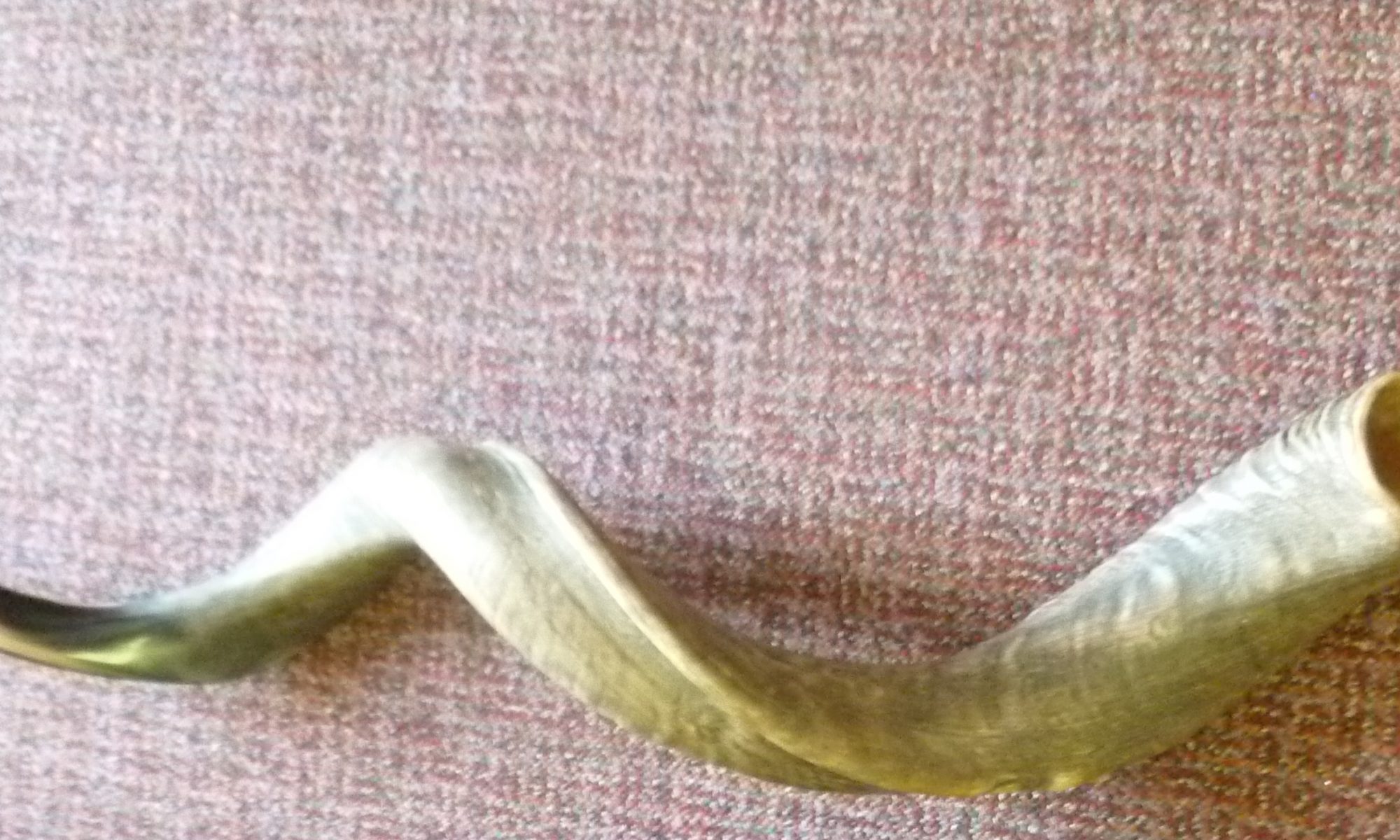 Yemenite Shofar Kudu Horns Voice of God Shofars Official Site